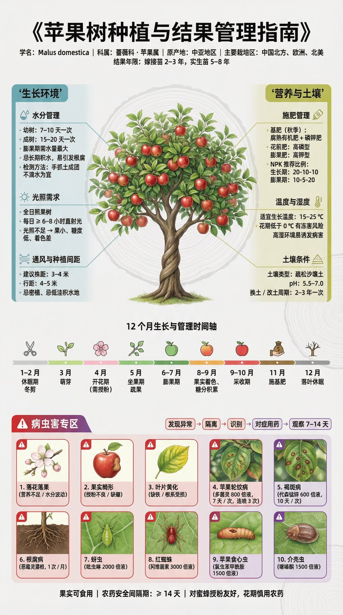 Fruit Tree Planting Guide