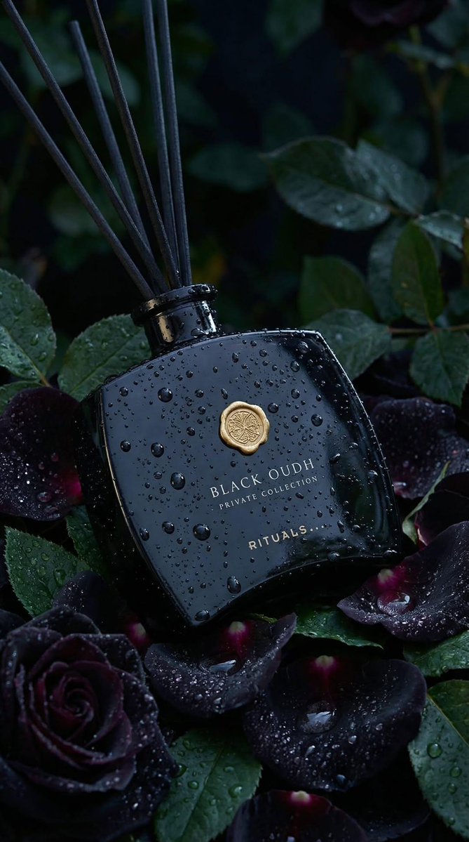 Black Oudh Reed Diffuser